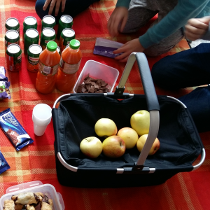 picnic.png